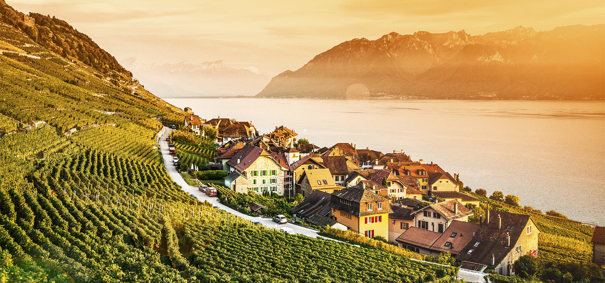 Paysage Lavaux